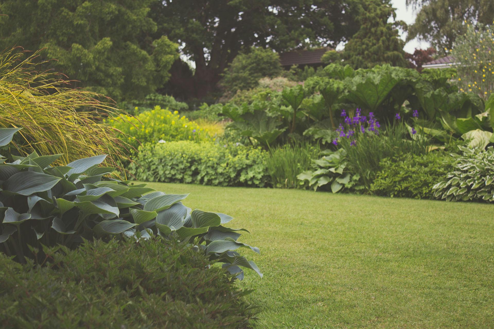 Beautiful Weed-Free Flower Beds