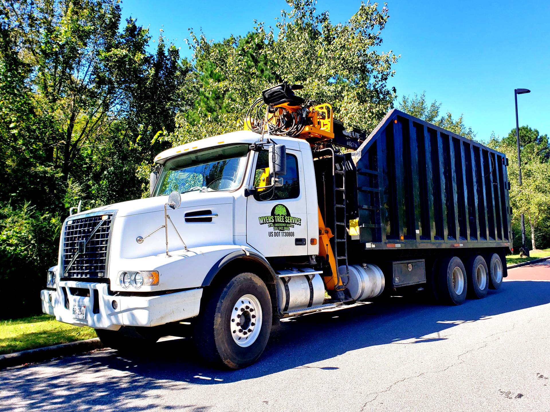 Myers Tree Service - Birmingham, AL