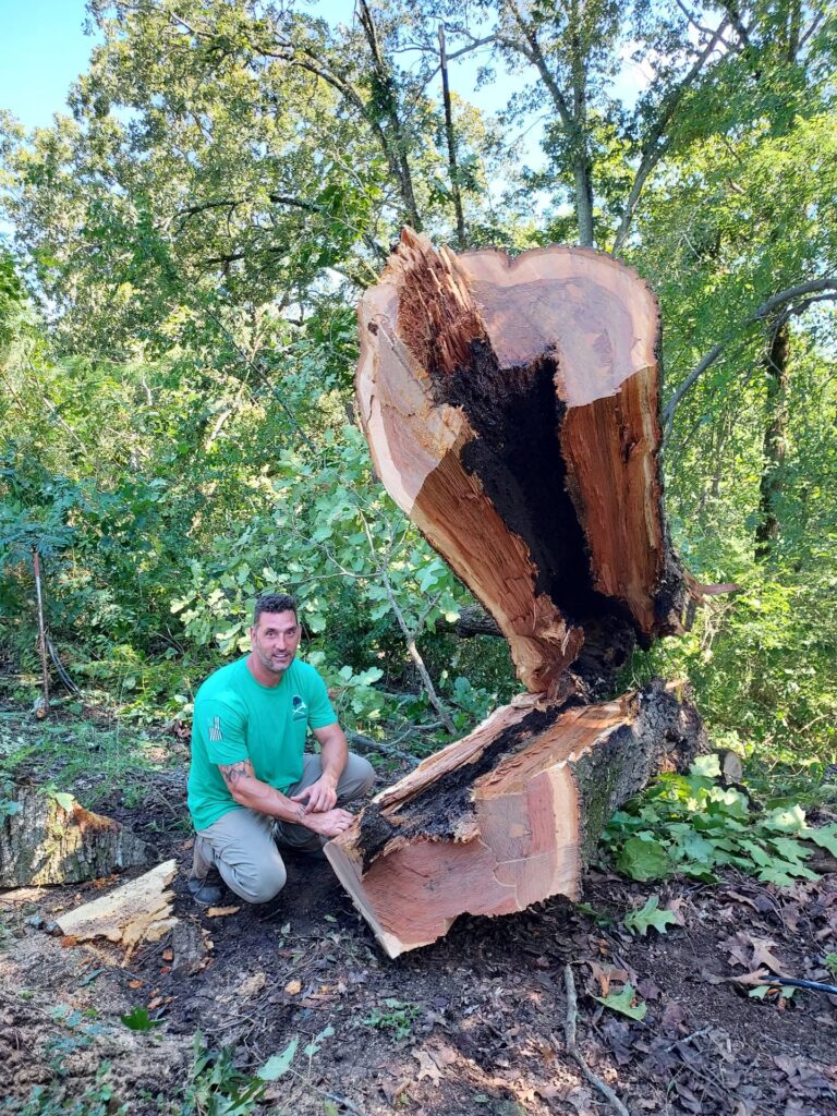 Sam Youngman - Owner-Operator of Alabama Tree & Land