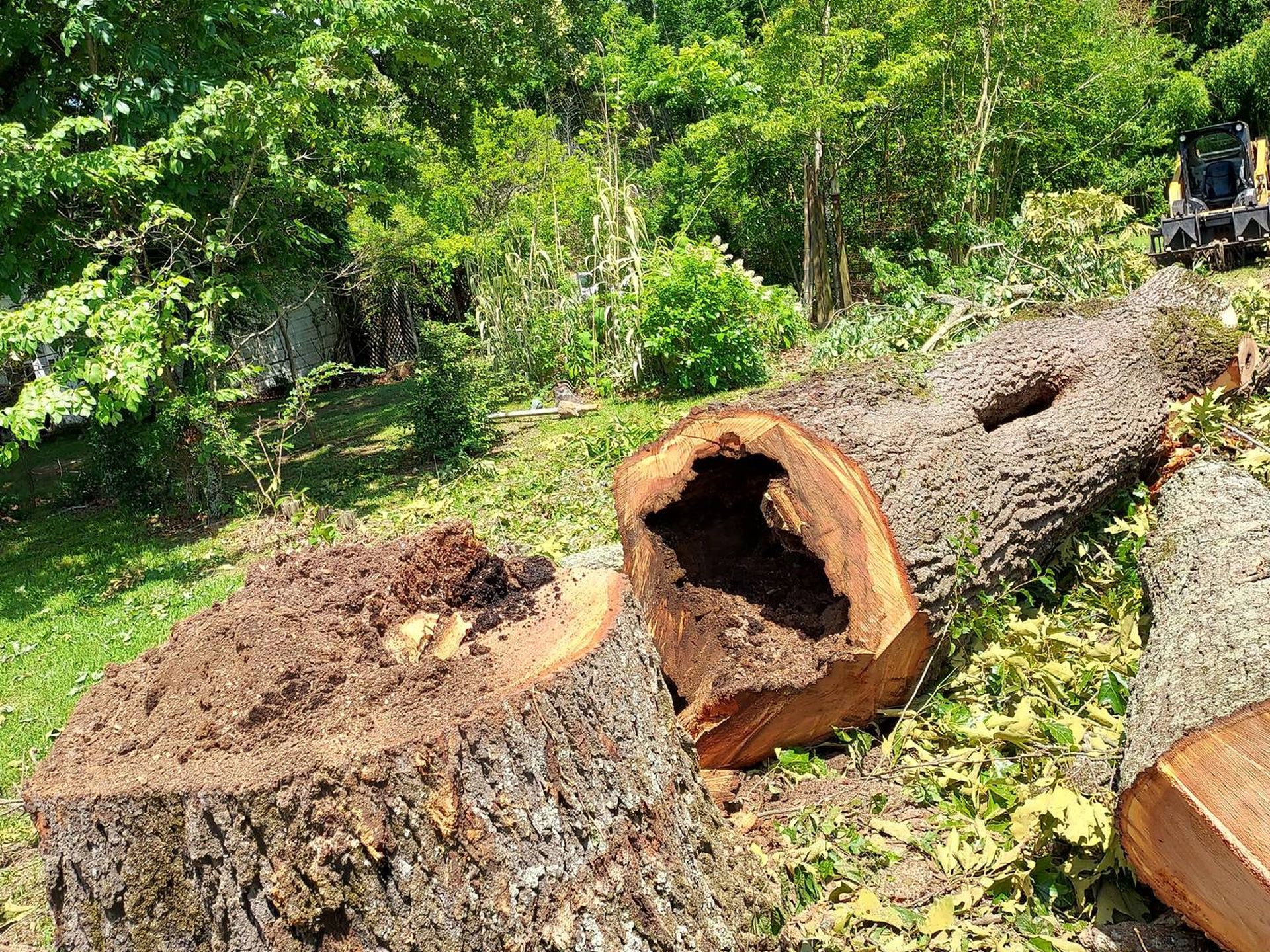 Local tree service company in Birmingham AL for tree cutting stump grinding and tree removal - Alabama Tree & Land